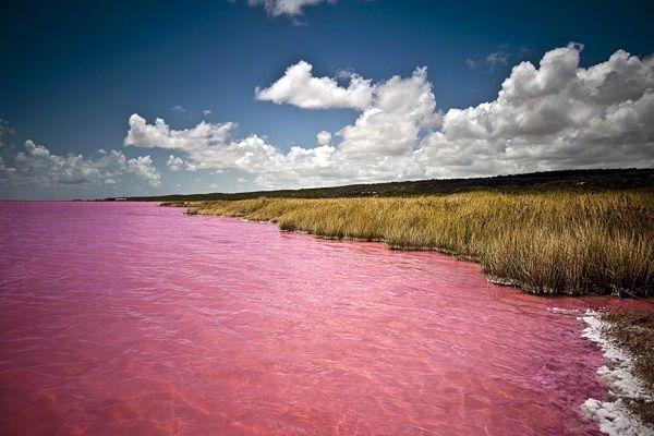 Розовое озеро, в западной африке 2