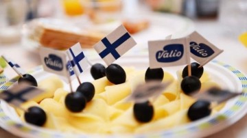 Кухня Финляндии